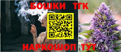 МДПВ Дубна