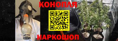 МДПВ Дубна